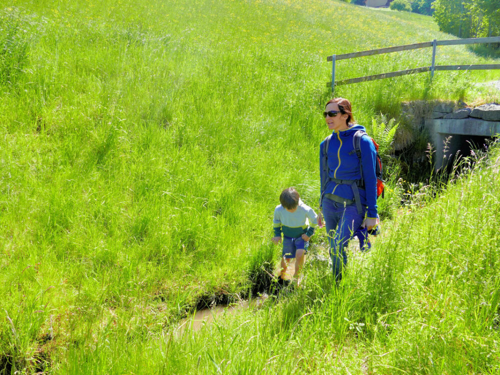 Abstieg nach Wienacht-Tobel.