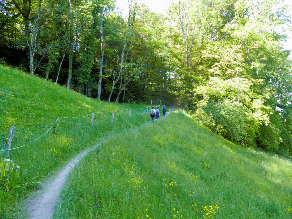 Abstieg nach Wartensee.