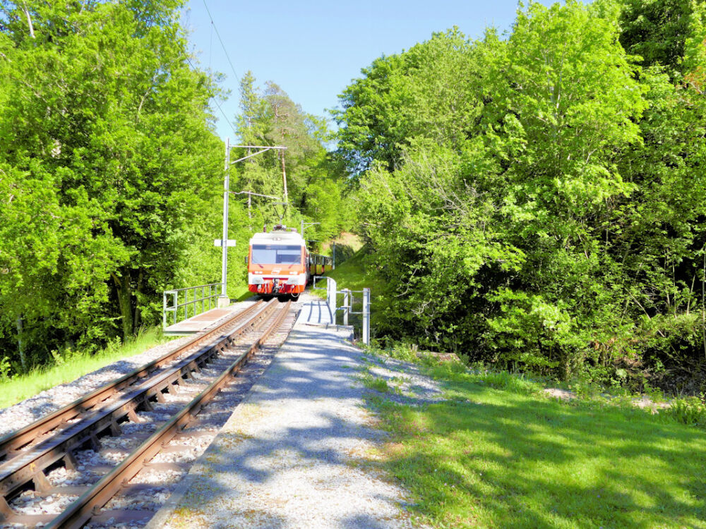 Mit der RHB fahren wir wieder hinab nach Rorschach.