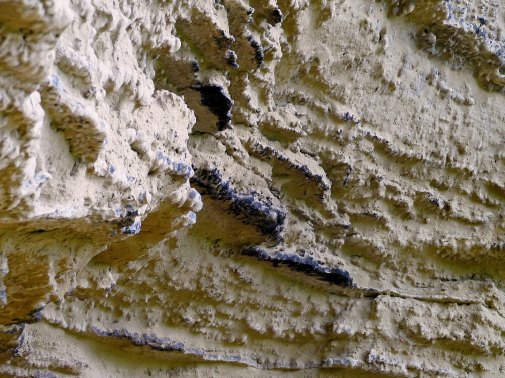 Versteinerungen und Haifischzähne.