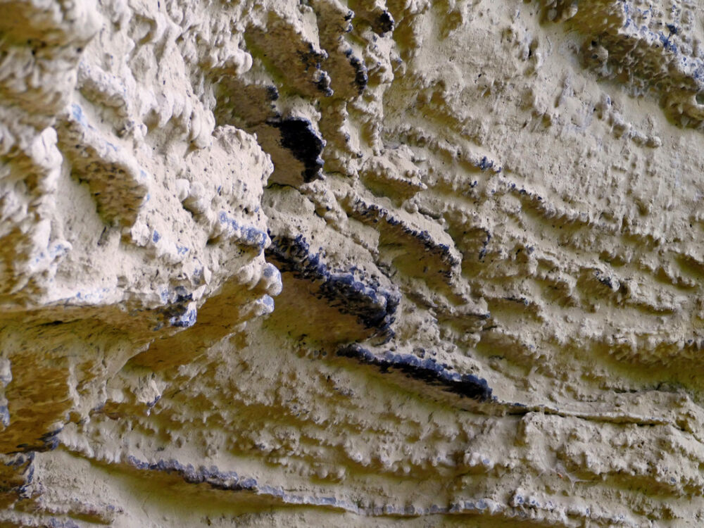 Versteinerungen und Haifischzähne.