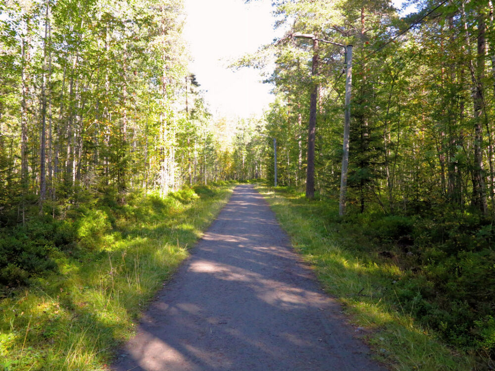 Auf dem Hertsöstigen.