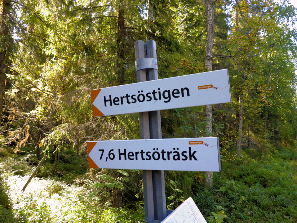 Auf dem Hertsöstigen.