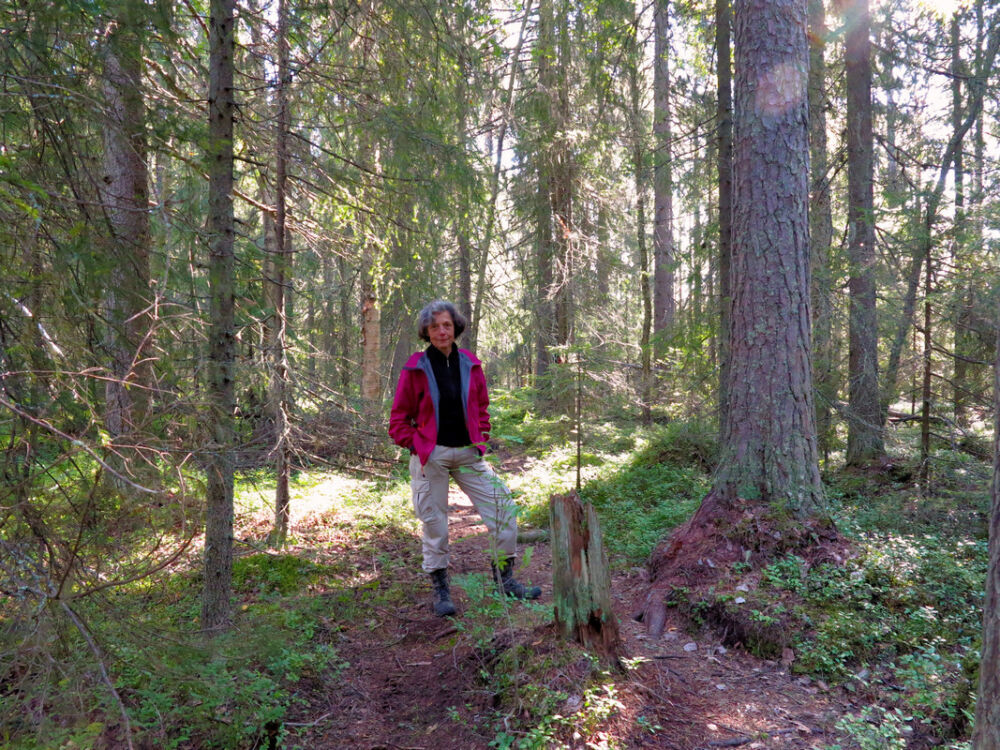 Auf dem Hertsöstigen.