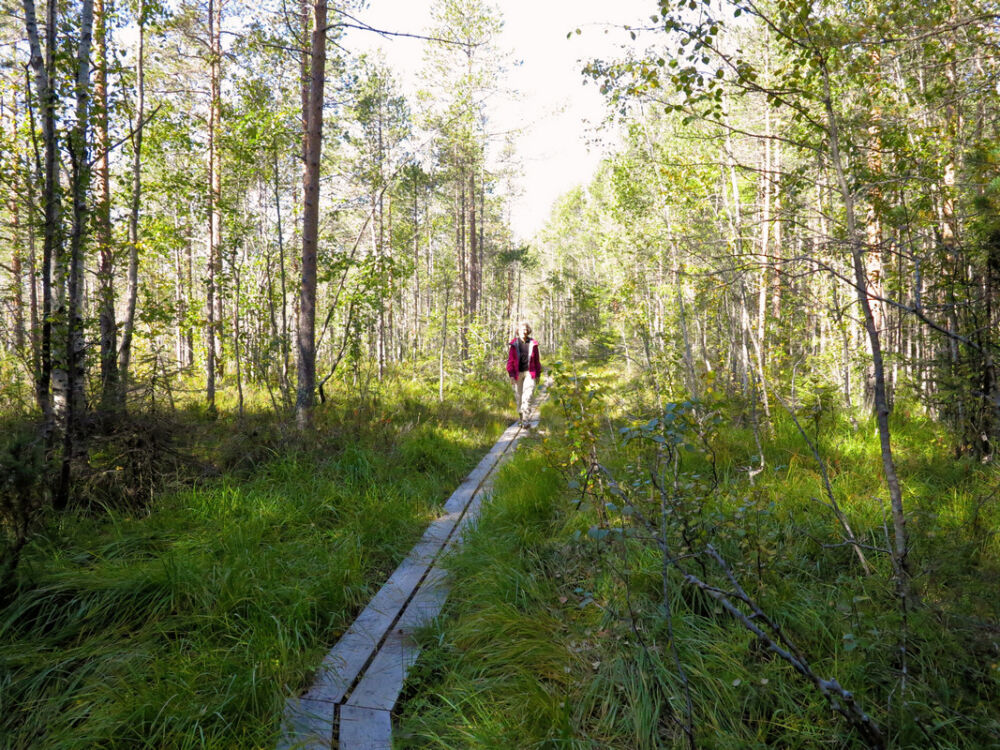 Auf dem Hertsöstigen.