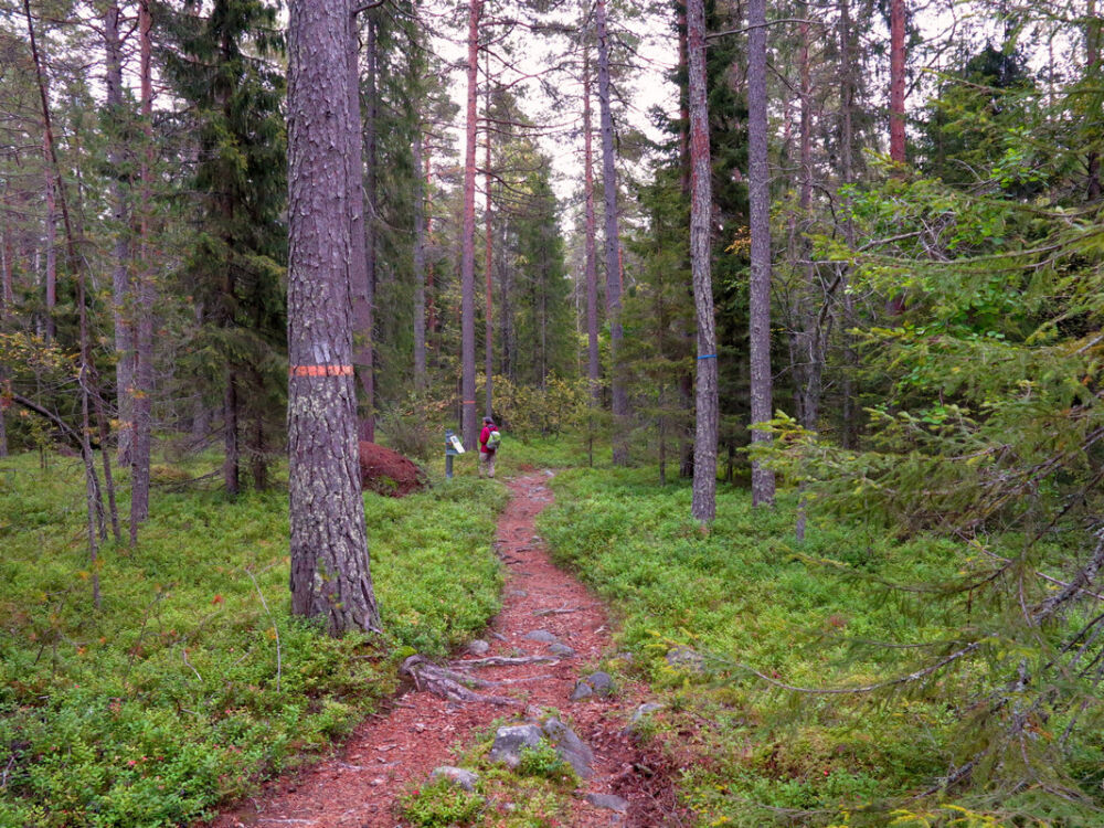 Auf dem Hertsöstigen.