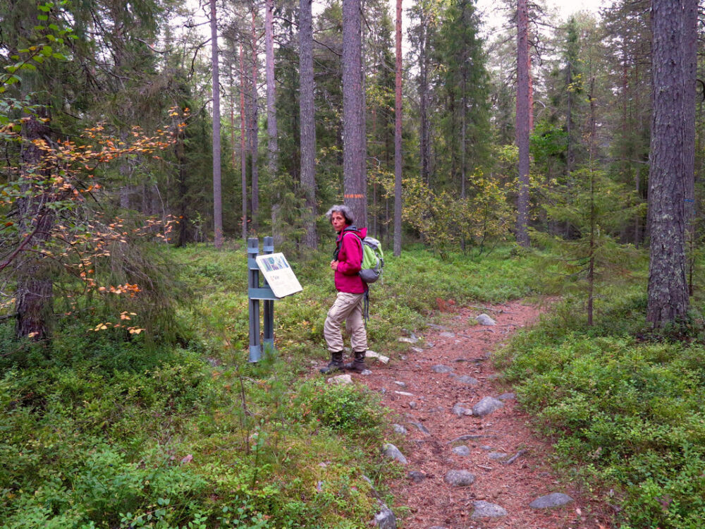 Auf dem Hertsöstigen.