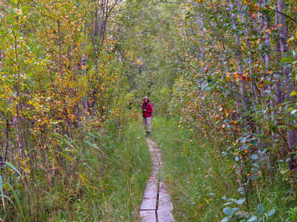 Auf dem Hertsöstigen.