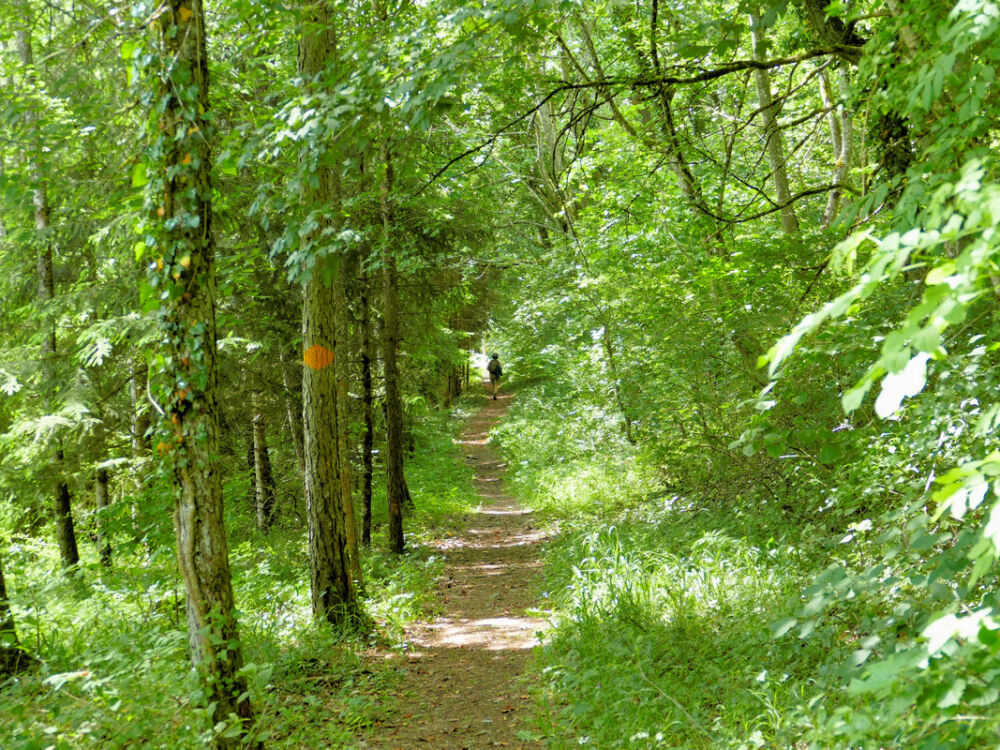 Pfad zum Jakobsfelsen.