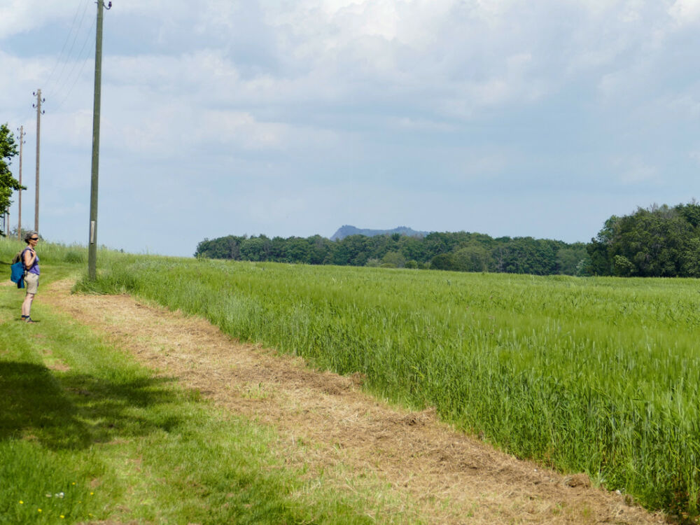 Reiat, im Hintegrund der Hohenstoffeln.