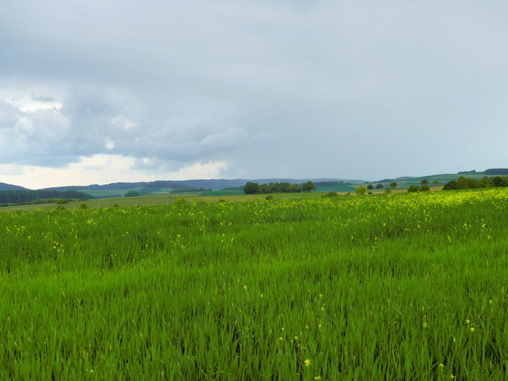Blick über den Randen.