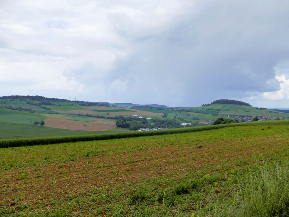 Blick auf den Wannenberg.