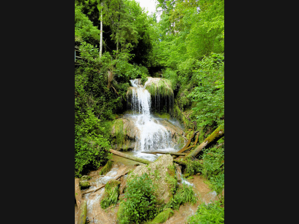 In der Mühlbachschlucht.