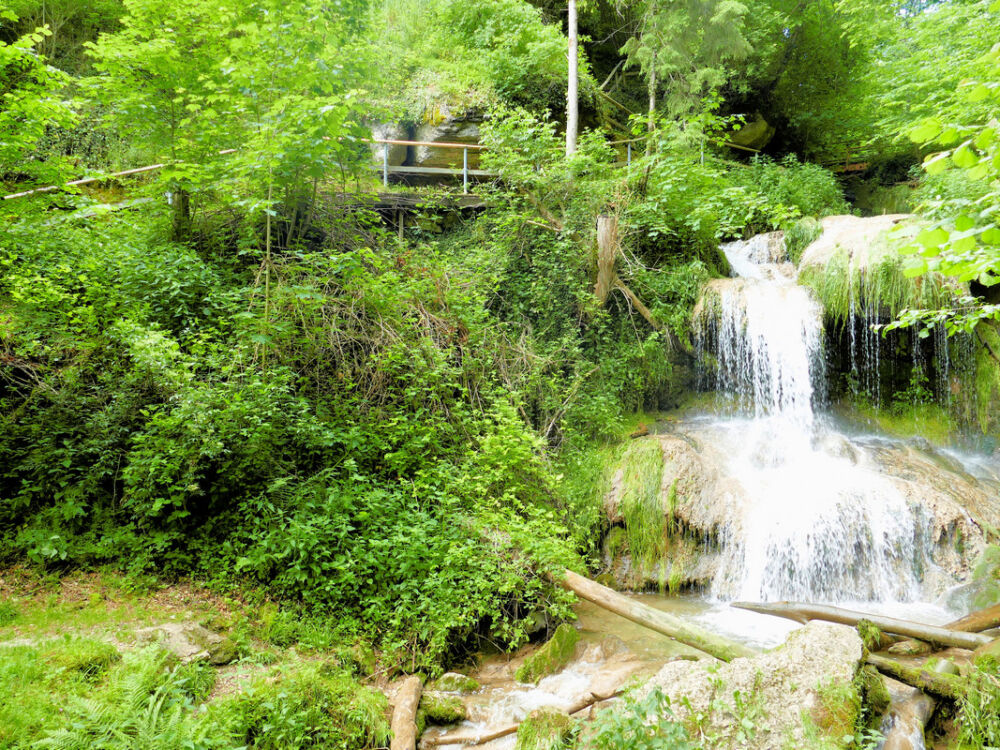 In der Mühlbachschlucht.