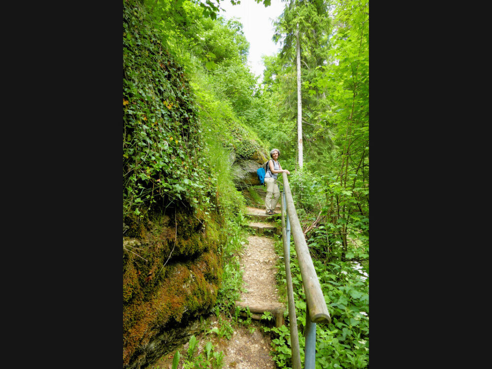 In der Mühlbachschlucht.