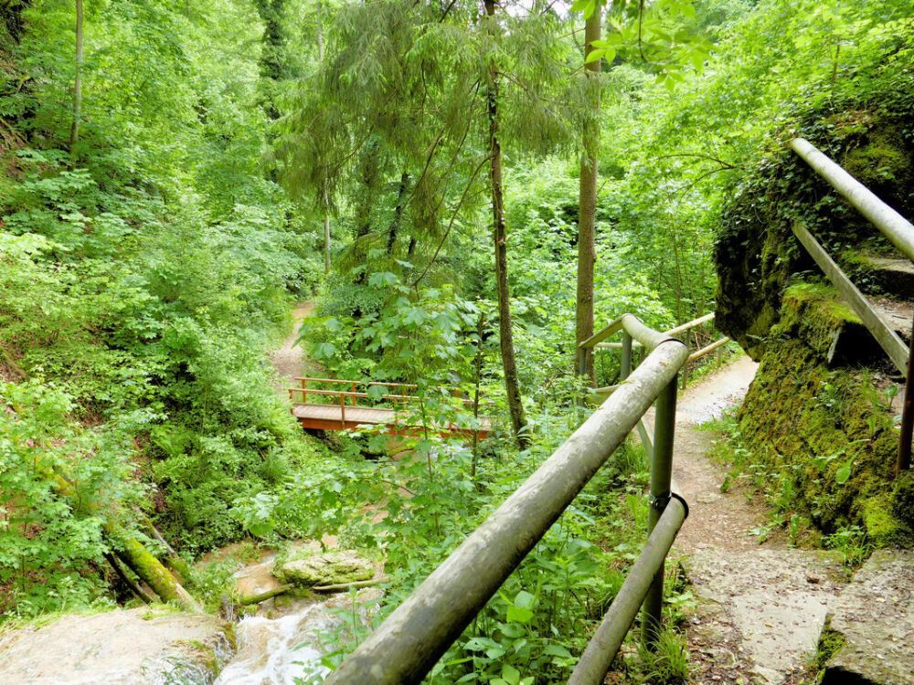 In der Mühlbachschlucht.