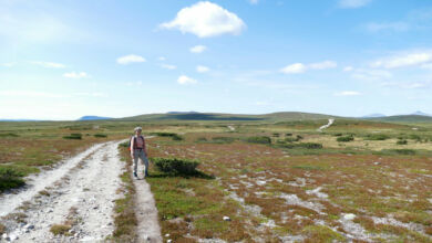 Blick auf den Gaske Miesjehkentjahke.