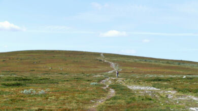 Bald haben wir den runden Gipfel erreicht.