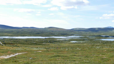 Blick auf das Seegewimmel.