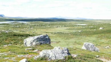 Ein letzter Blick zurück.