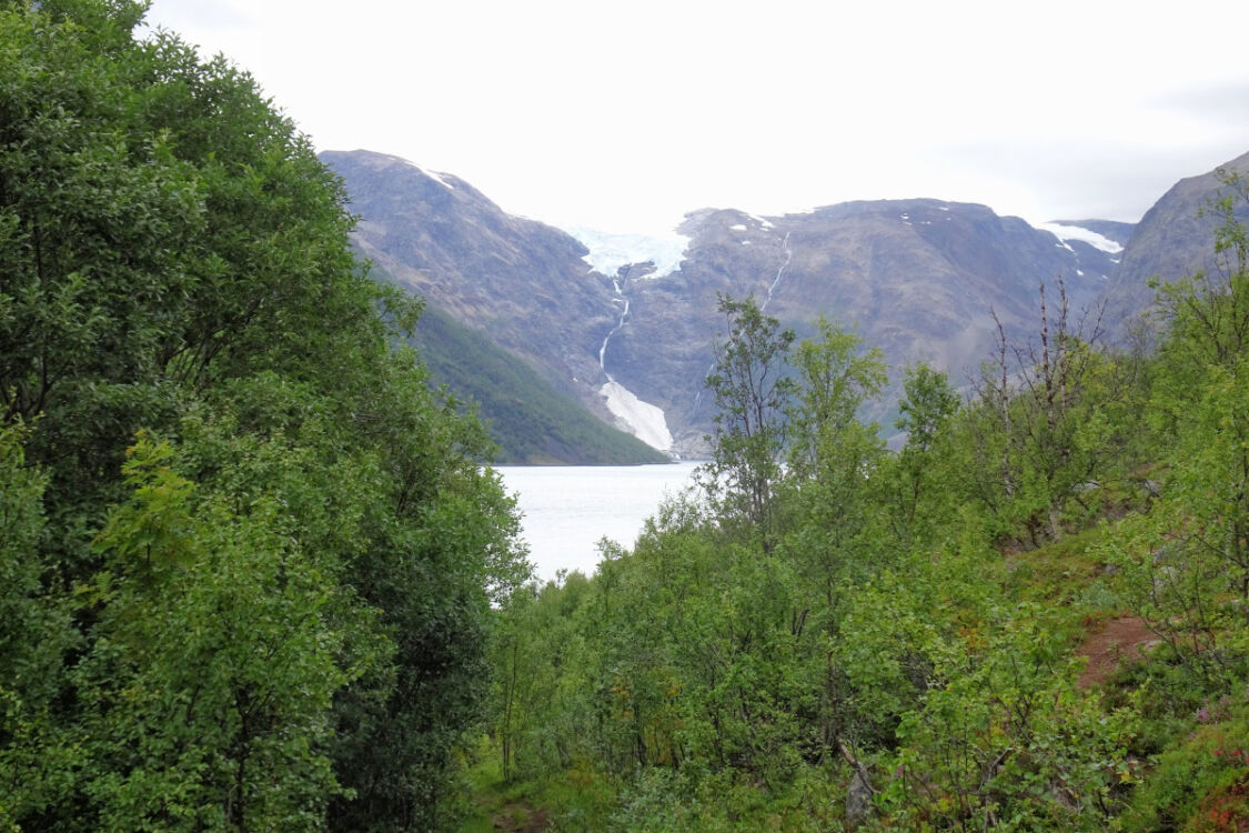 Am Jøkelfjord - erster Blick auf den Øksfjordjøkelen.