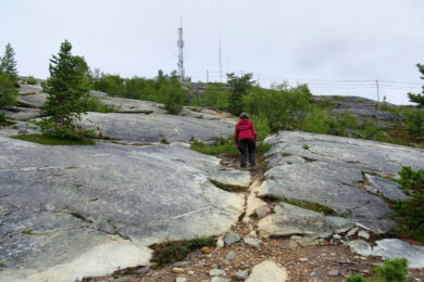 Gleich sind wir auf dem Toppen.