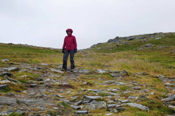 Auf dem Bergrücken.