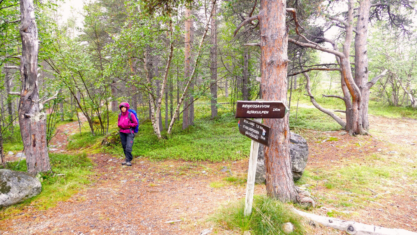 Start des Wanderweges zum Stabbursfossen.