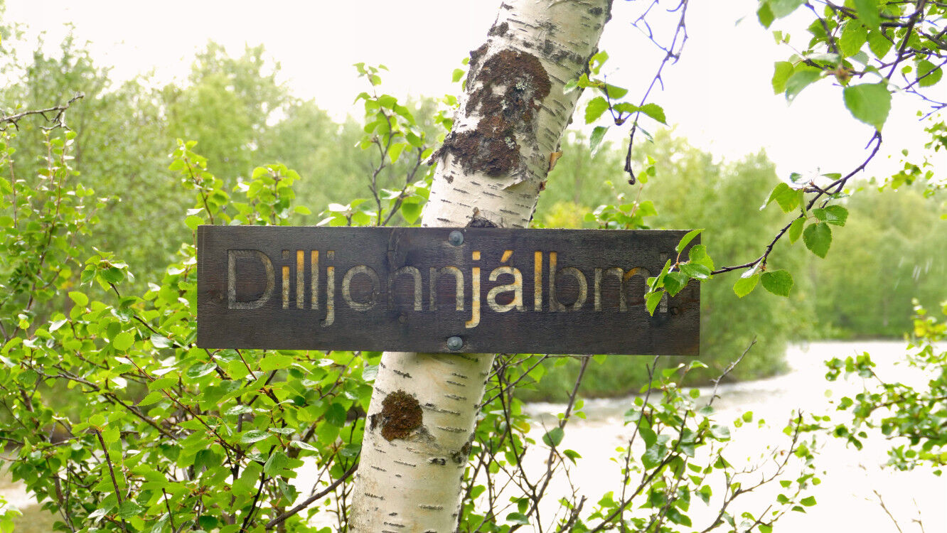 Dillijohnjálbmi.