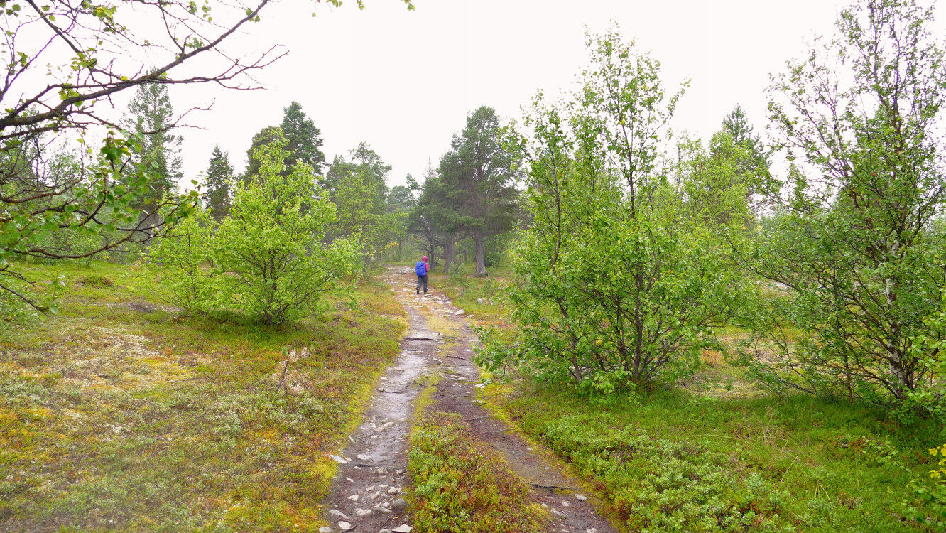 Auf dem Weg zum Stabbursfossen.
