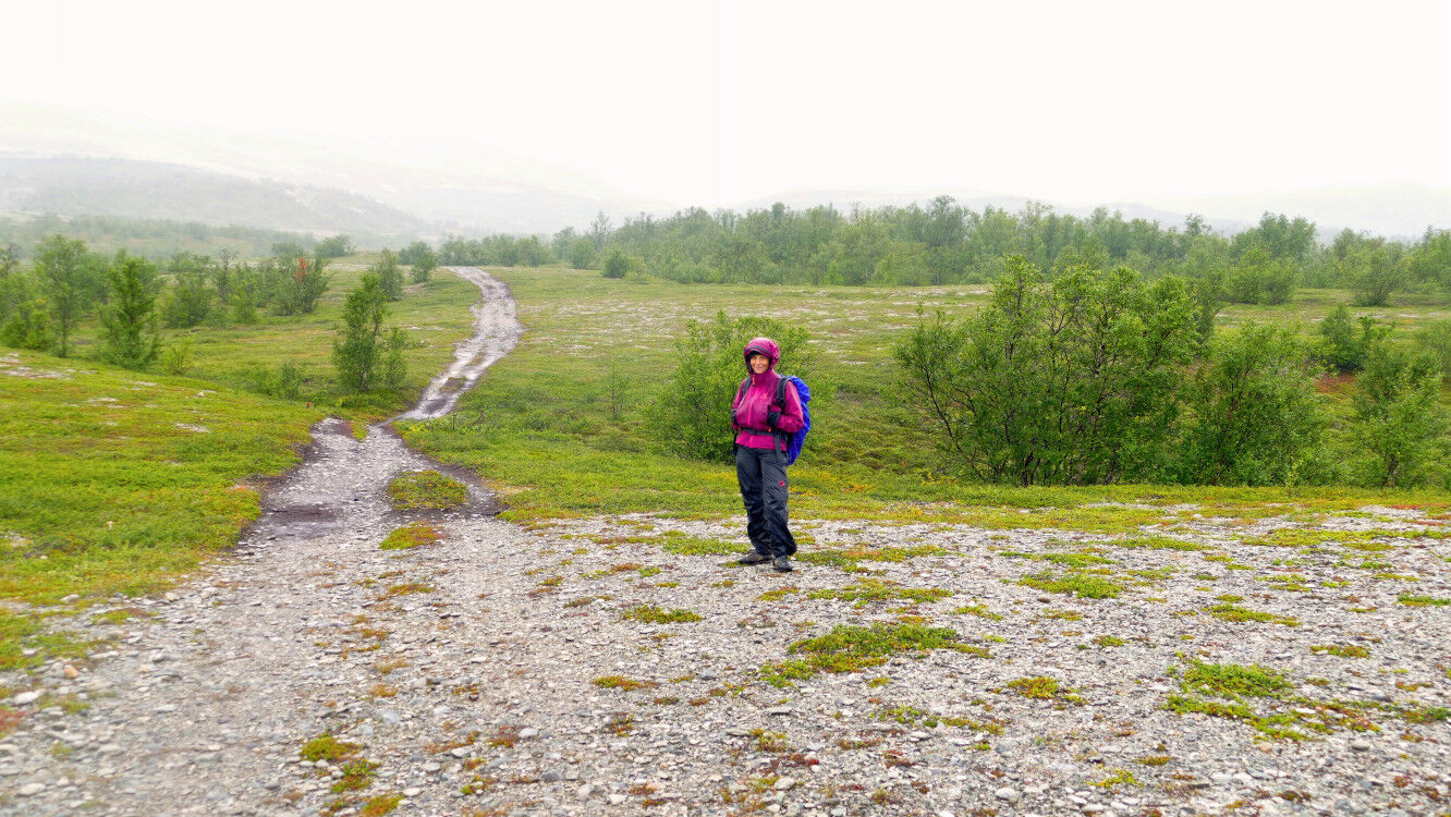 Auf dem Weg zum Stabbursfossen.