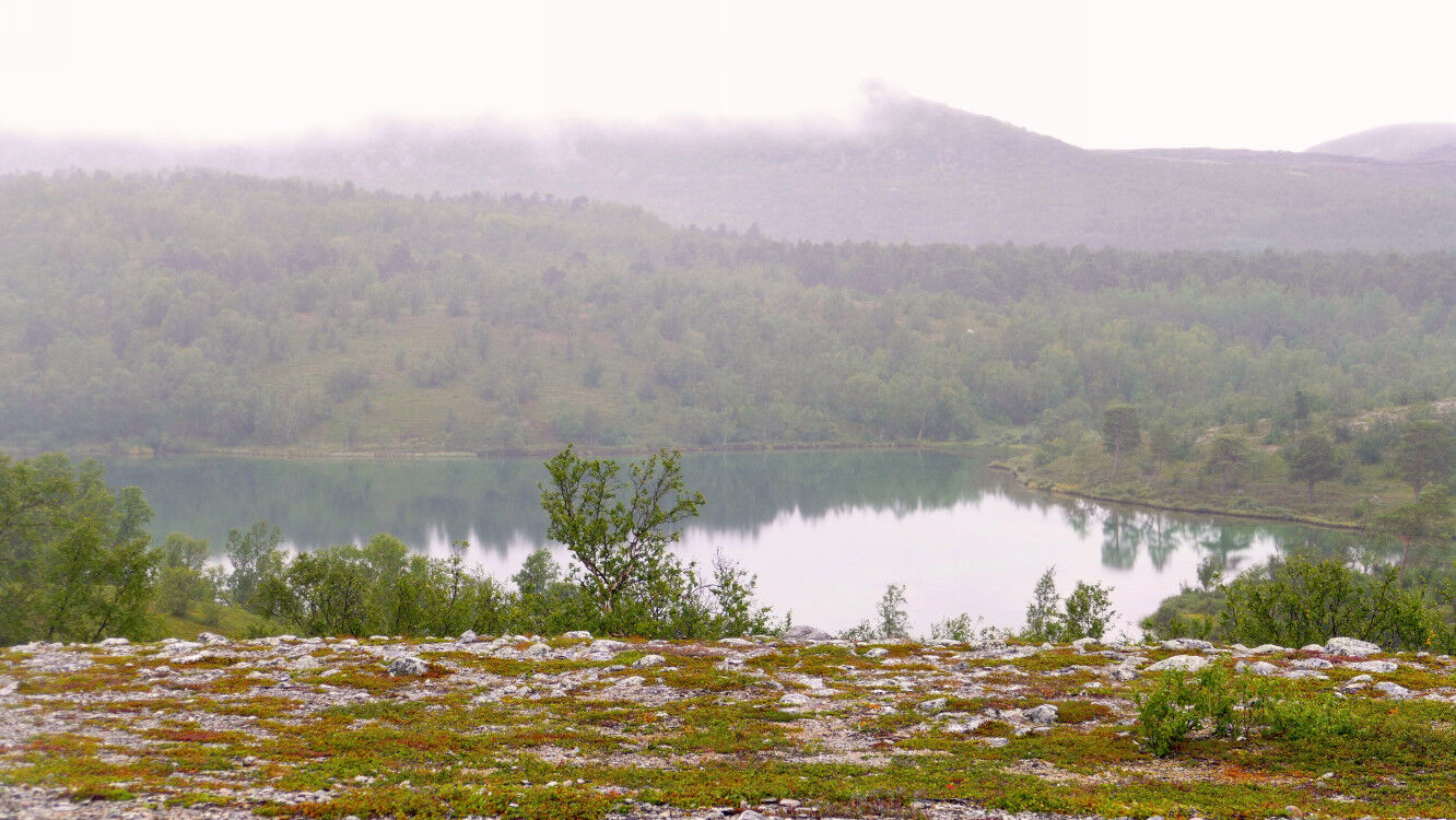 Auf dem Weg zum Stabbursfossen.