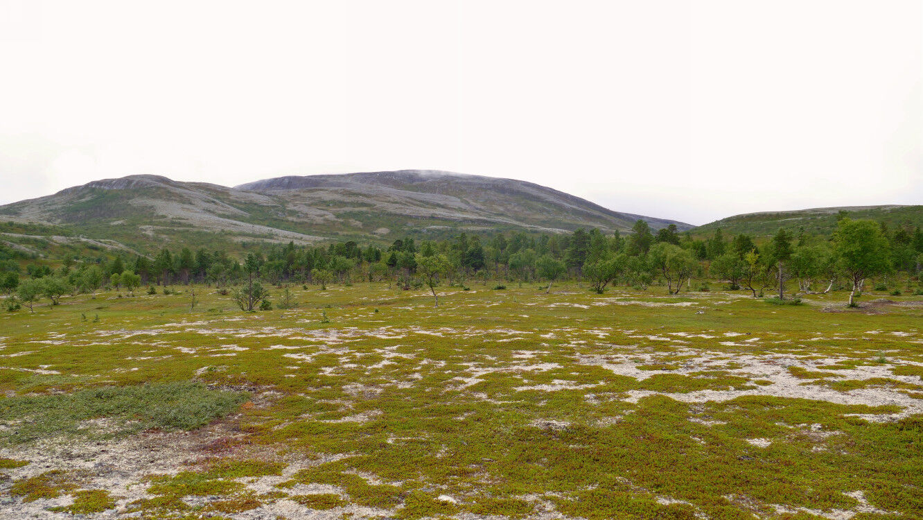 Auf dem Weg zum Stabbursfossen.