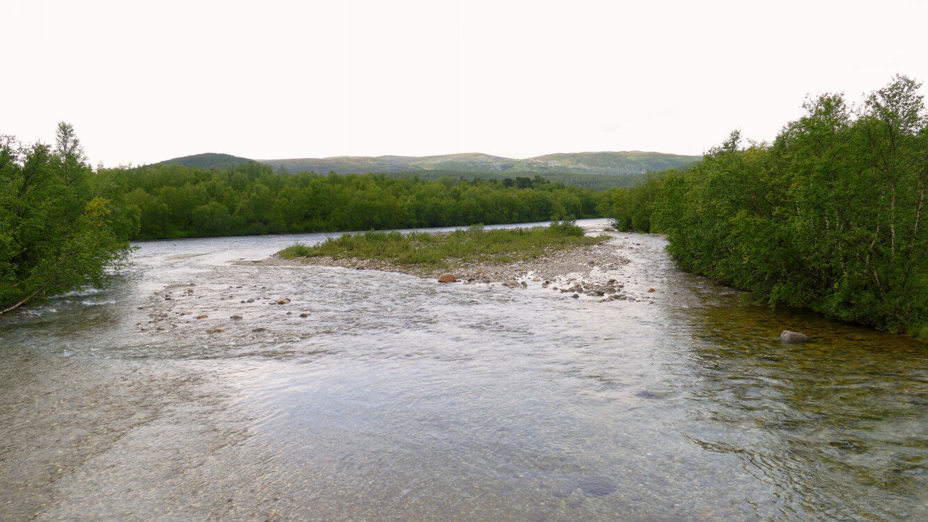 Zurück am Dillijohnjálbmi.