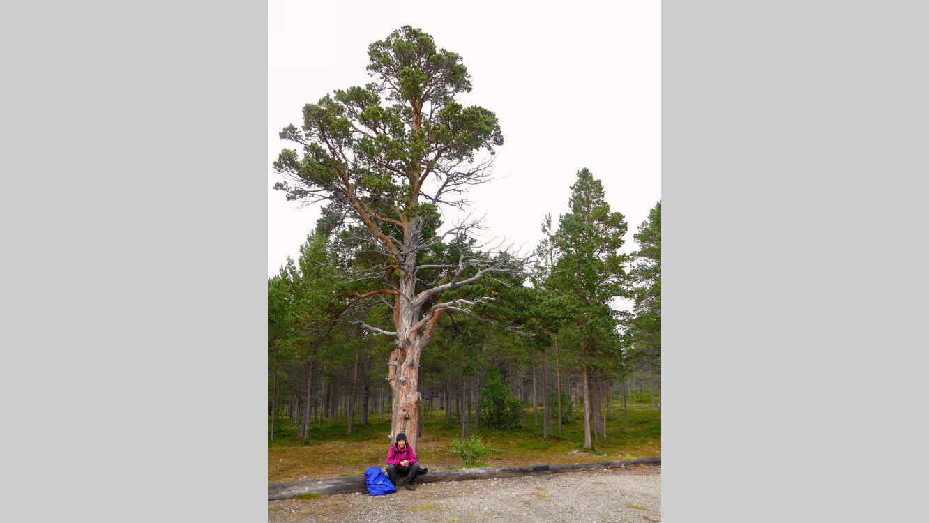 Glücklich und müde sind wir zurück am Parkplatz.