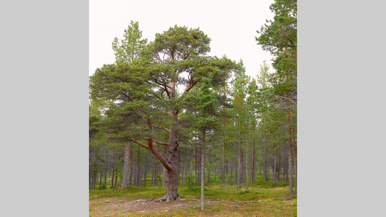 Zurück am Parkplatz.