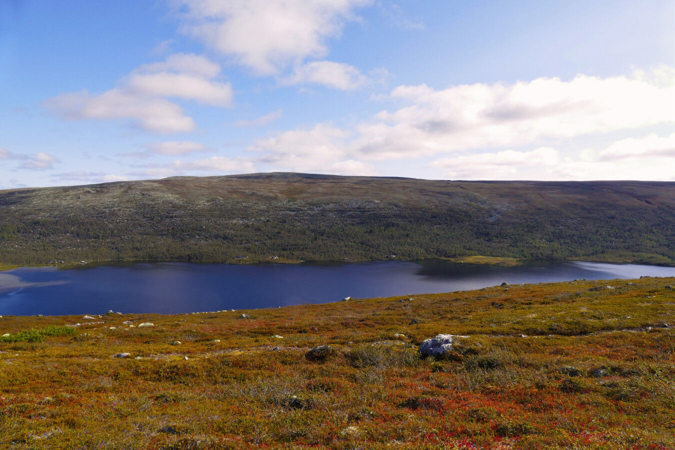 Auf der Hochfläche - Blick auf den Grövelsjön.