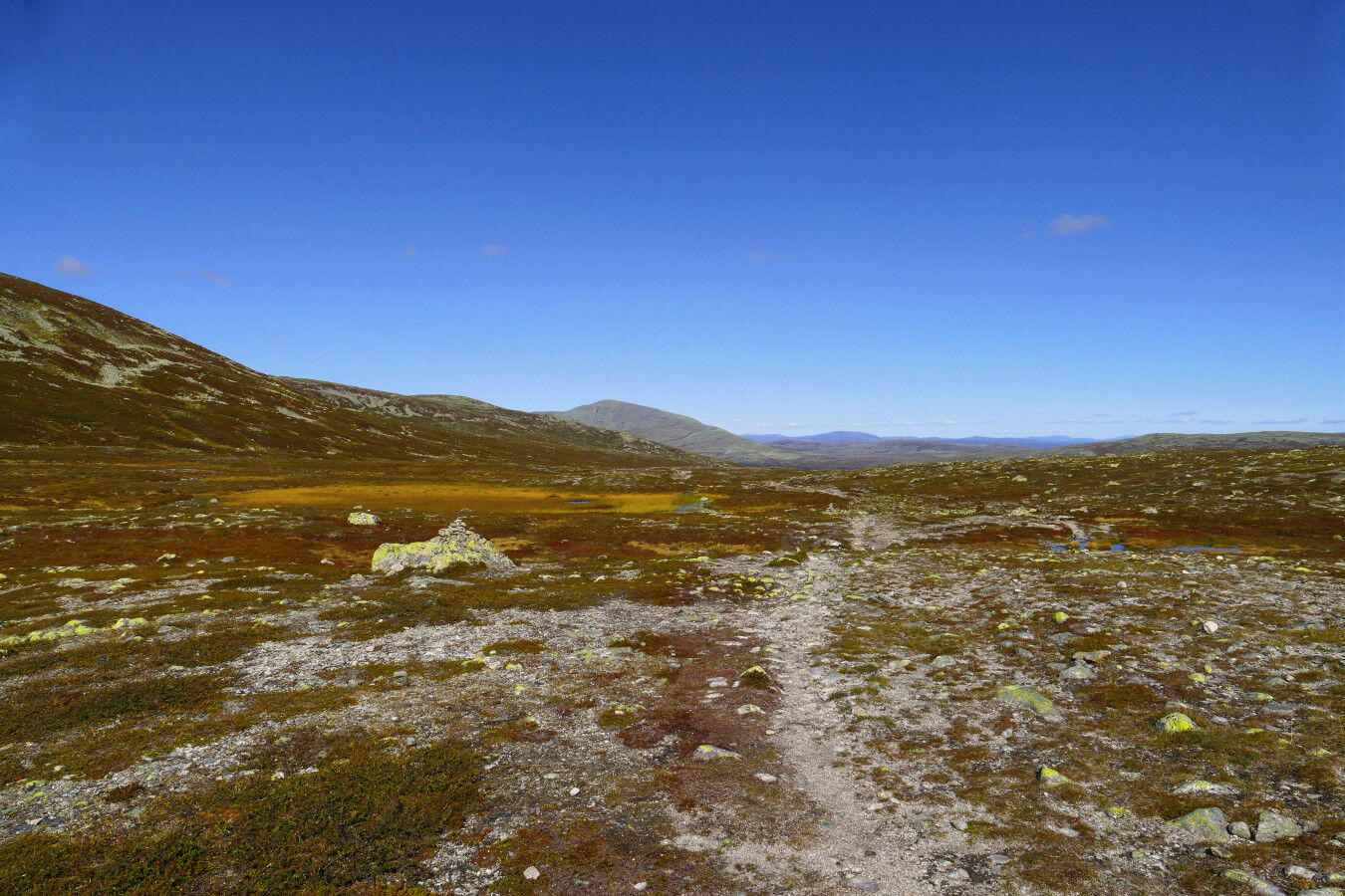 Auf der Hochfläche.