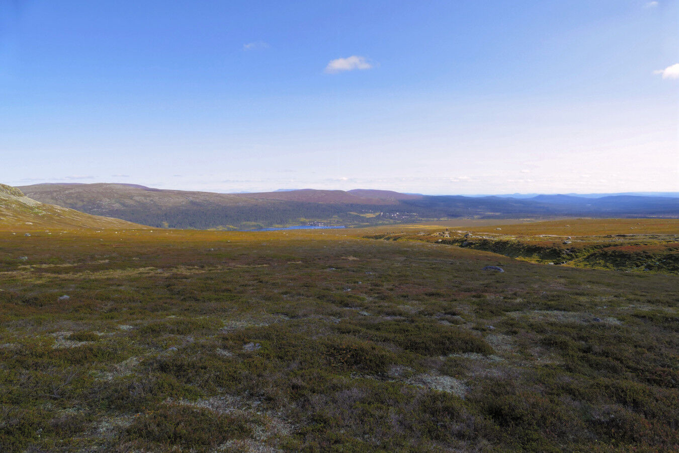 Auf der Hochfläche - kurz vor dem Abstieg.