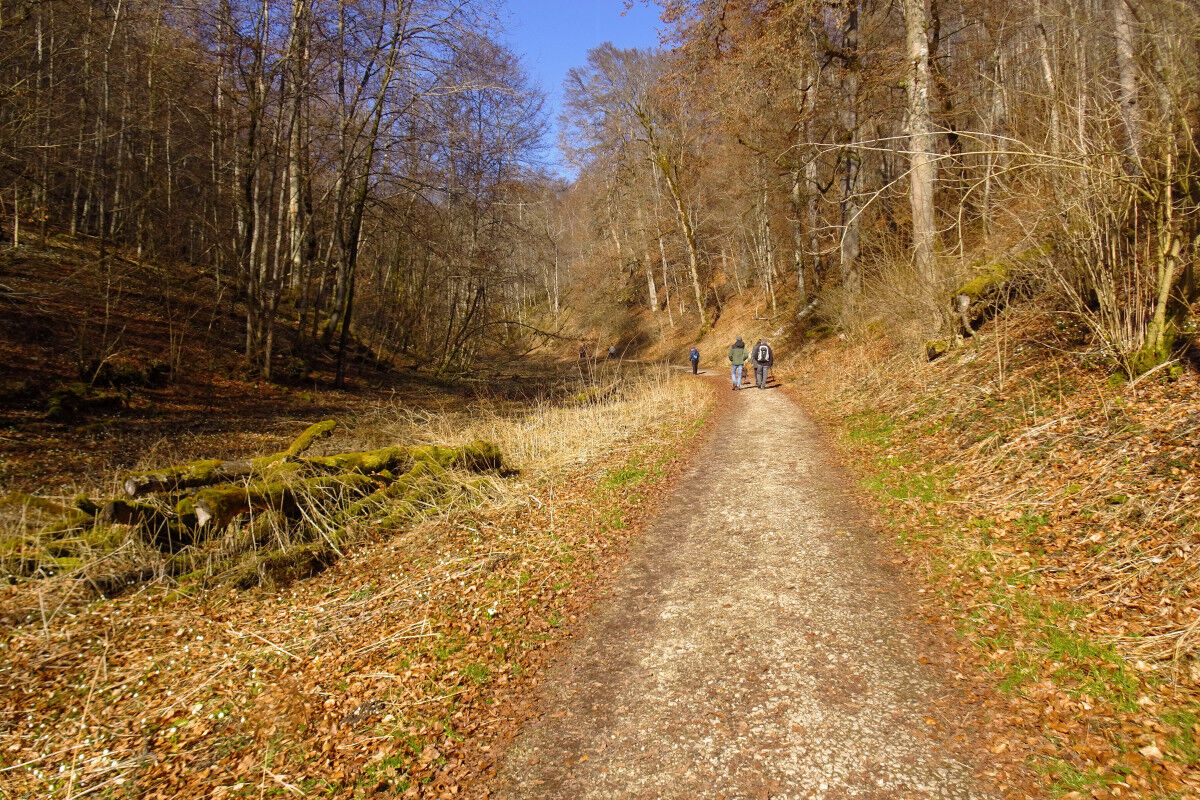 Auf dem Höhenweg.