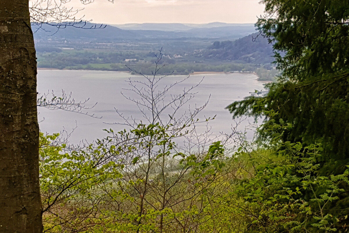 Blick vom Rosshimmel auf den Überlinger See.