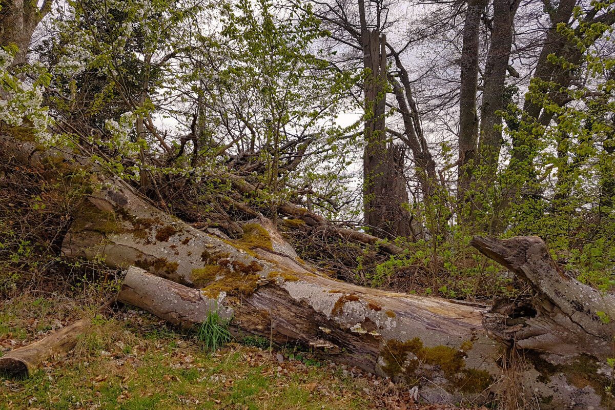 Aufstieg zum Haldenhof.