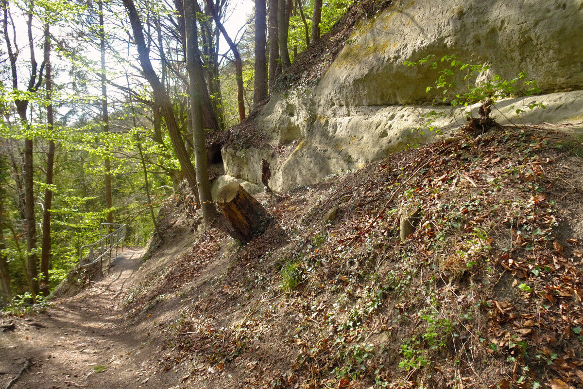 Abstieg nach Sipplingen.