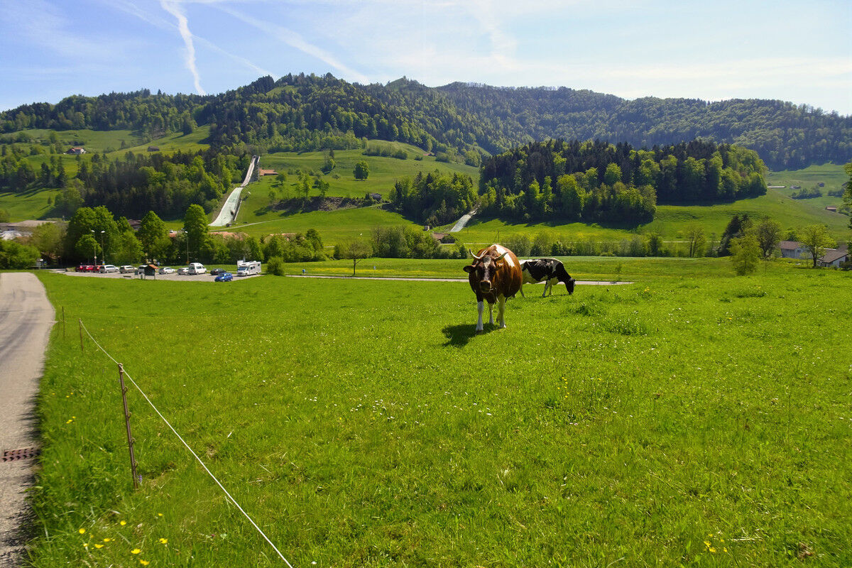 Bei Gibswil.