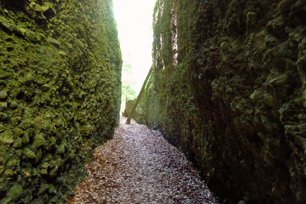 Im Bachtelspalt - Blick zurück.
