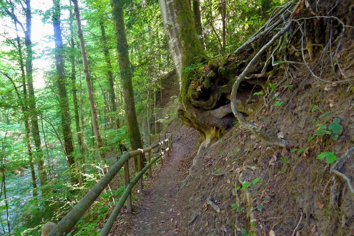Auf dem Rückweg im Jonatal.