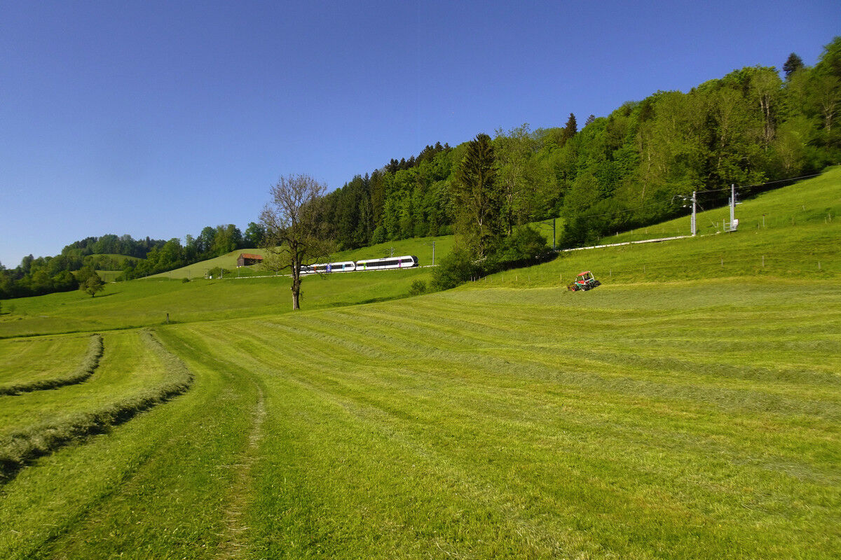 Auf dem Rückweg im Jonatal.