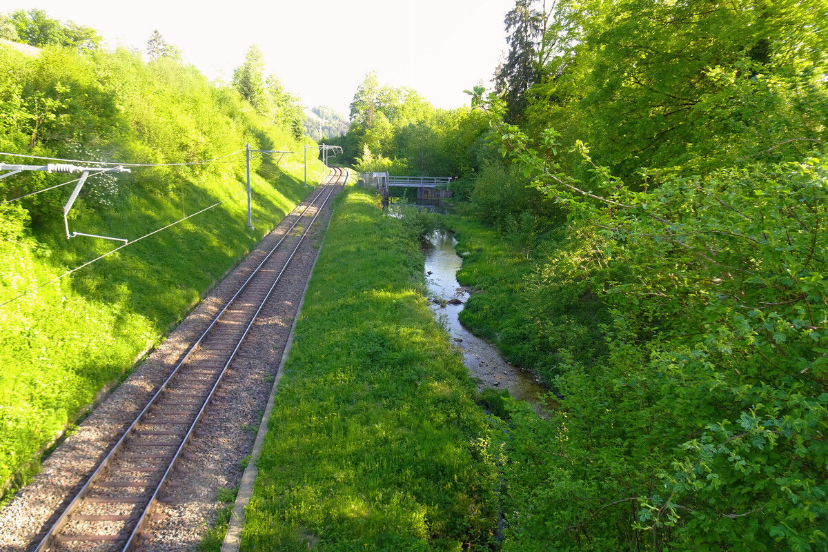 Auf dem Rückweg im Jonatal, kurz vor Gibswil.