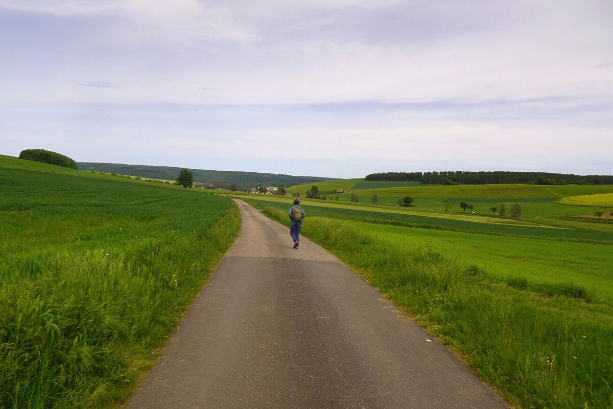 Auf dem Weg nach Riedöschingen.