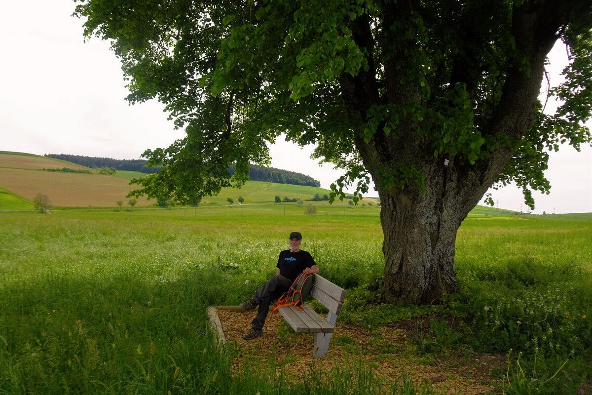 Unter der Linde sitzt es sich gut.